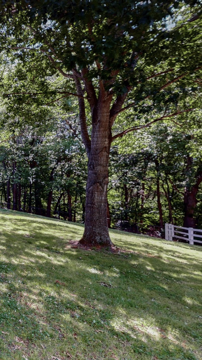 34-web-or-mls-2727 Palmyra Rd Palmyra TN 37142-42